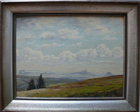 Blick in den Hegau