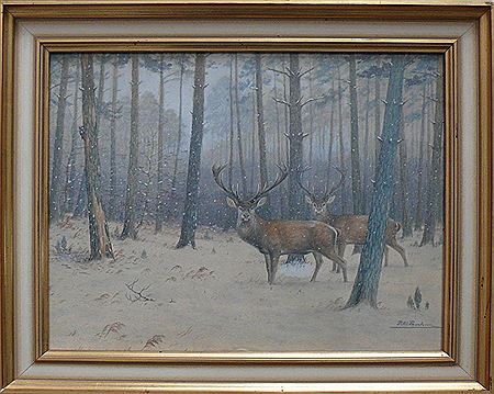 "2 Rotwild-Hirsche" by Peter Paschen - Auction record, sale price, and art valuation. Compare with similar artists and explore comparable artworks.