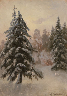 In the Winter Forest