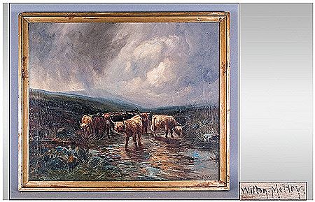 Highland Cattle Wading Through A Brook, with a storm in the skys above depicting in Grey Hues