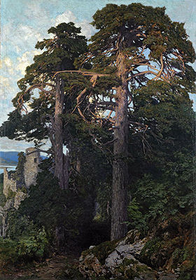 Ruine Aggstein 1923