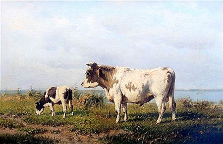 Weidende Kühe am Seeufer