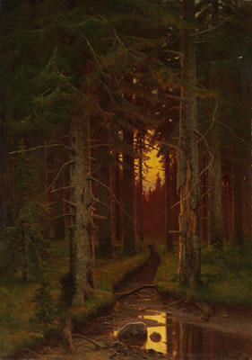 Waldinneres