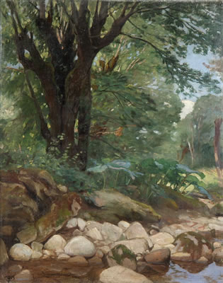 "Kaltbrunnerthal"