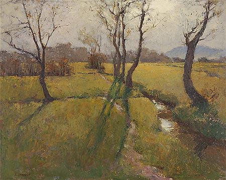 Wiesenlandschaft mit Bäumen und Bächlein
