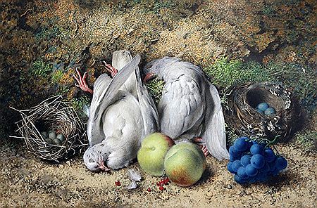 Still lifes of fruit and dead doves (2) by Frederick Thomas Baynes - Auction record, sale price, and art valuation. Compare with similar artists and explore comparable artworks.