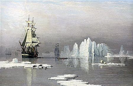 Sailing ships in the arctic with polar bears and seals