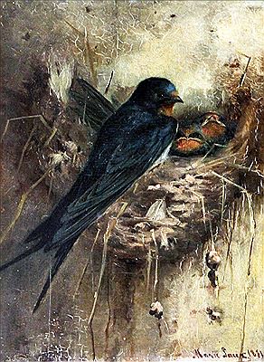 Swallows on the nest