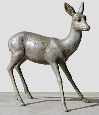 Deer