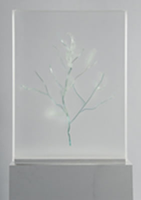 Drawing, 2004 by Hugo Suter - Auction record, sale price, and art valuation. Compare with similar artists and explore comparable artworks.