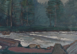 Flussufer mit Wald