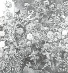 Garden Flowers