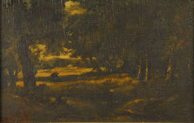 FIGURE FORAGING IN FOREST FONTAINBLEAU