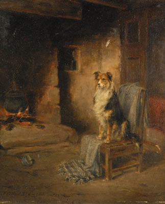 COLLIE