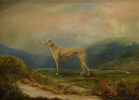 GREYHOUND IN LANDSCAPE