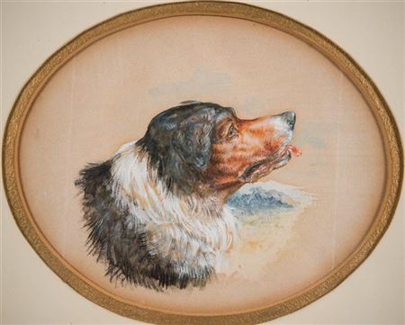PORTRAIT OF A DOG IN PROFILE