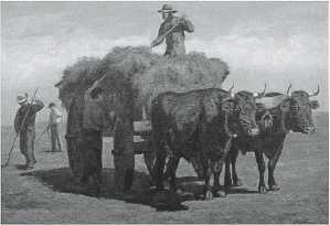 Haying by Thomas Harris Robinson - Auction record, sale price, and art valuation. Compare with similar artists and explore comparable artworks.