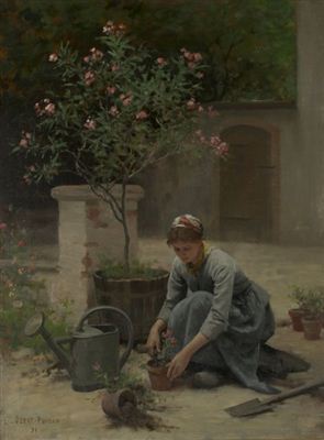 Potting Flowers