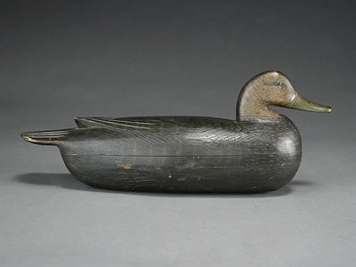 Blackduck