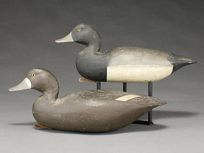 Rigmate pair of bluebills