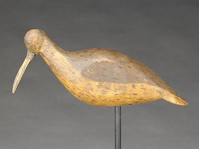 Exceptional curlew