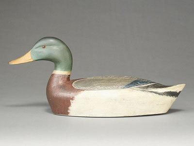 Extremely rare and exceptional mallard drake