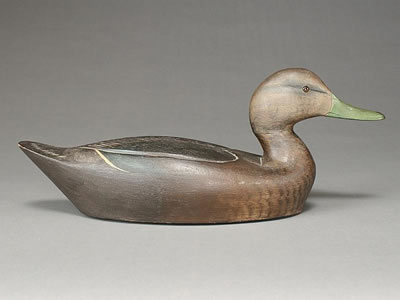 Blackduck