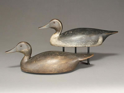 Exceedingly rare rigmate pair of pintails