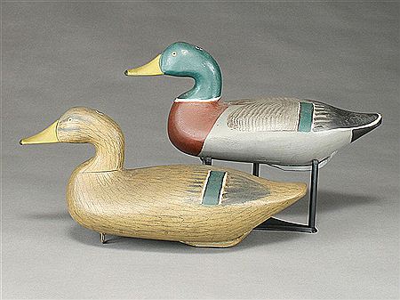 Rigmate pair of mallards