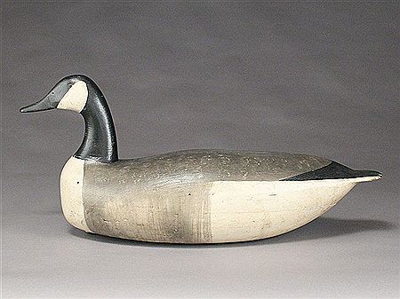 Superb hollow Canada goose