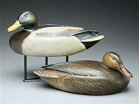 Exceptional pair of mallards