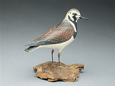 Decorative ruddy turnstone
