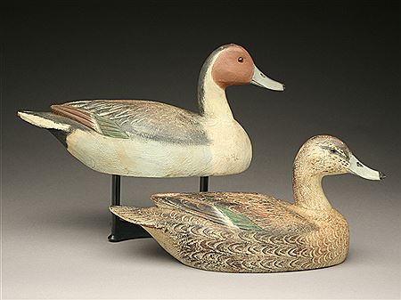 Exceptional pair of pintails