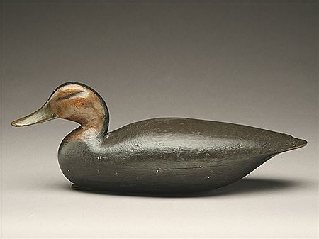 Blackduck