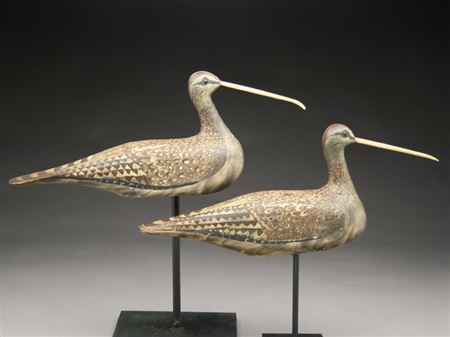 Two large curlew