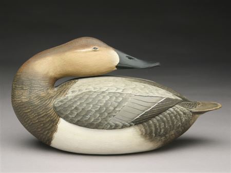Sleeping canvasback hen by Corbin Reed - Auction record, sale price, and art valuation. Compare with similar artists and explore comparable artworks.