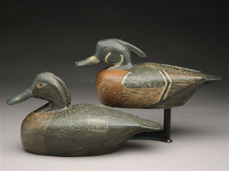 Rigmate pair of working wood ducks
