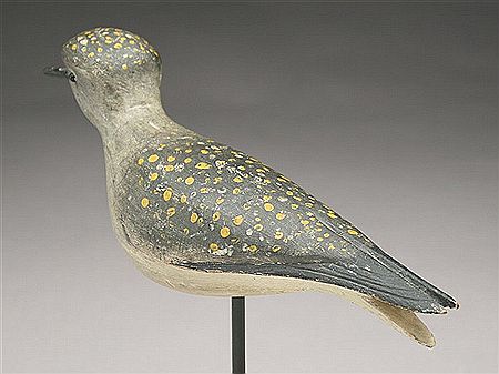 Well sculpted running golden plover