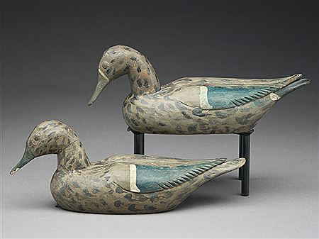 Two greenwing teal hens