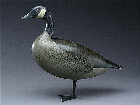 Important standing Canada goose