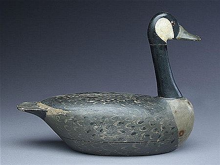 Canada goose