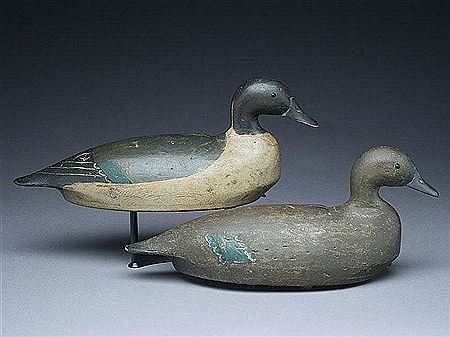 Rigmate pair of pintails