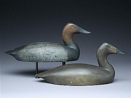 Very rare rigmate pair of canvasbacks
