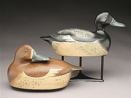 Pair of bluebills