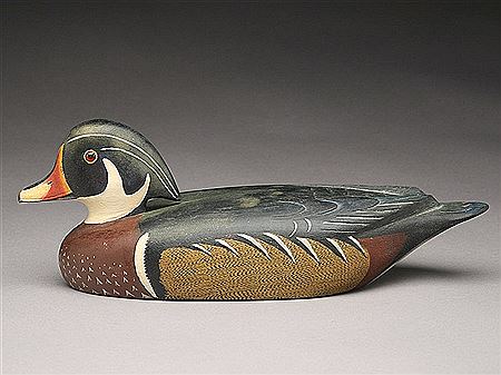 Wood duck drake