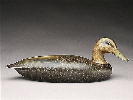 Important presentation black duck