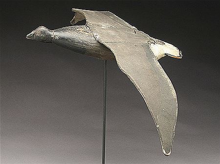 Rare stick up flying brant
