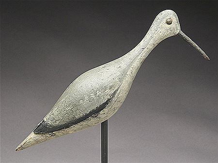 Large willet