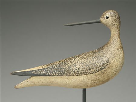 Back preening yellowlegs