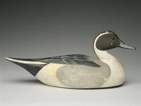 Gunning model pintail